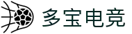 多宝电竞-多宝创造电竞辉煌